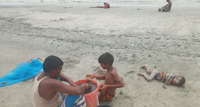 মেঘনা পাড়ে জীবিকার লড়াইয়ে সংগ্রামী বাহারের গল্প