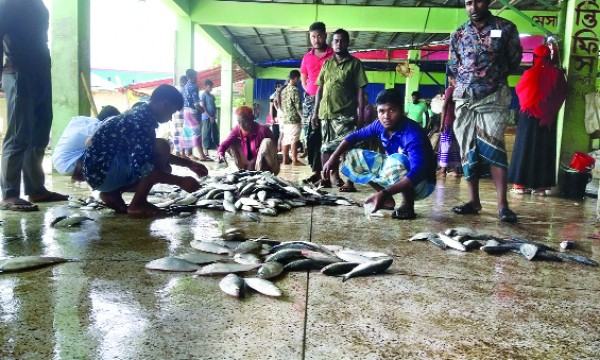 গভীর সমুদ্রে ইলিশের আকাল জেলে পরিবারে হাহাকার