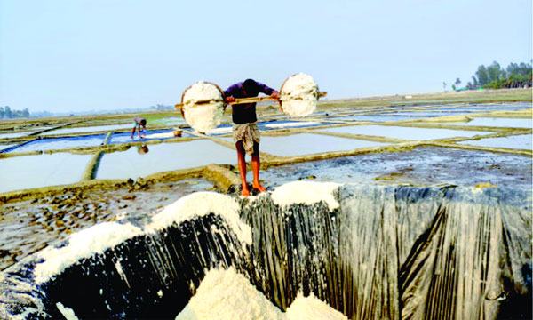 দেশে ২০ লাখ ৬৪ হাজার ৯০৭ টন লবণ উৎপাদনের নয়া রেকর্ড