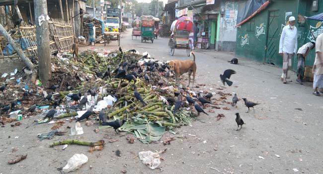 নগরজুড়ে ময়লা-আবর্জনা ভোগান্তিতে পথচারীরা