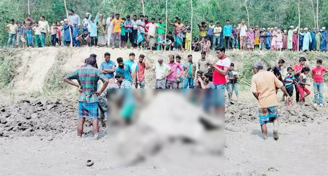 শেরপুরে হাতির মৃতদেহ উদ্ধার