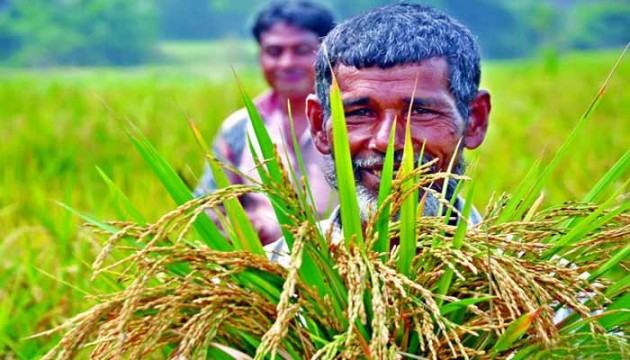 খাদ্যনিরাপত্তা ও আসন্ন বাজেটে কৃষিতে বরাদ্দ