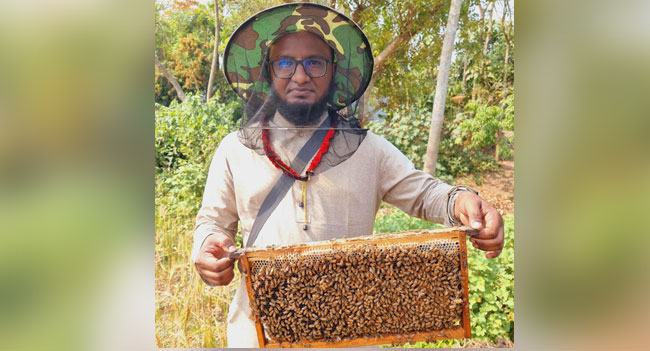 মানুষকে মধু ও মৌমাছি চেনান মাওলানা অলিউল্লাহ আল মাহমুদ