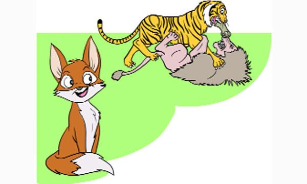 জয় মামার জয়