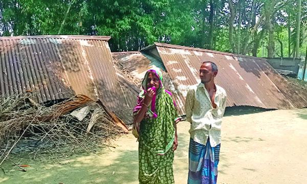 মুক্তাগাছায় বৃদ্ধ মাকে নিয়ে খোলা আকাশের নিচে কৃষক