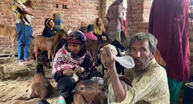 বাংলাদেশে ঘূর্ণিঝড় মোখায় প্রাণহানি নেই, তবে অর্থনৈতিক ক্ষতি ভয়াবহ