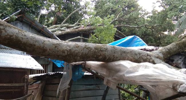 গলাচিপায় কালবৈশাখীতে ব্যাপক ক্ষয়ক্ষতি