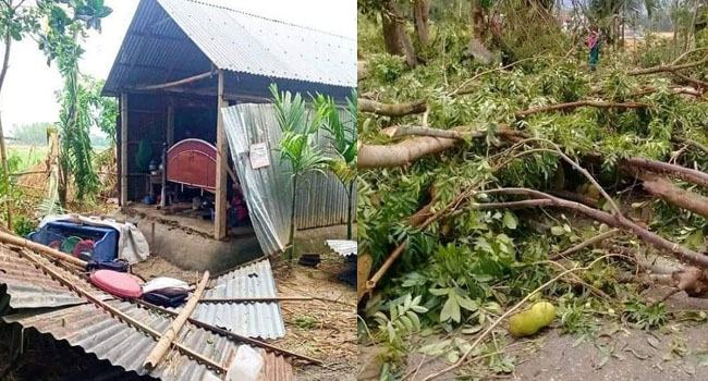 কালবৈশাখীর হানায় লণ্ডভণ্ড জামালপুর নিহত ১
