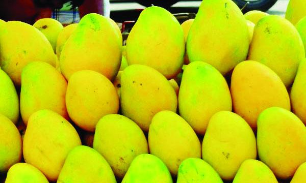 আম রফতানি দ্বিগুণের টার্গেট