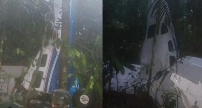 বিমান বিধ্বস্তের ৩ সপ্তাহ পর আমাজন জঙ্গল থেকে ৪ শিশু জীবিত উদ্ধার
