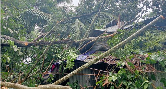বেতাগীতে কালবৈশাখীর তাণ্ডবে ঘরবাড়ি ও গাছপালা বিধ্বস্ত