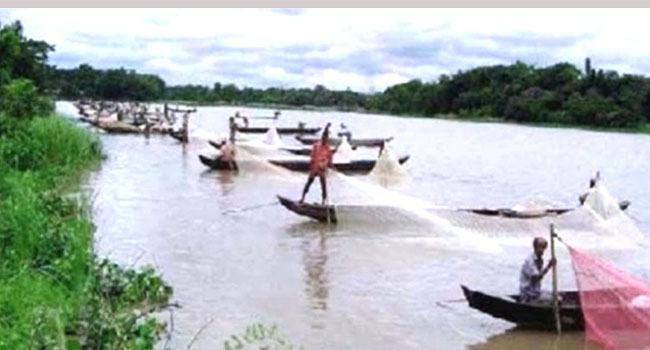 হালদা নদীতে নমুনা ডিম ছেড়েছে মা মাছ