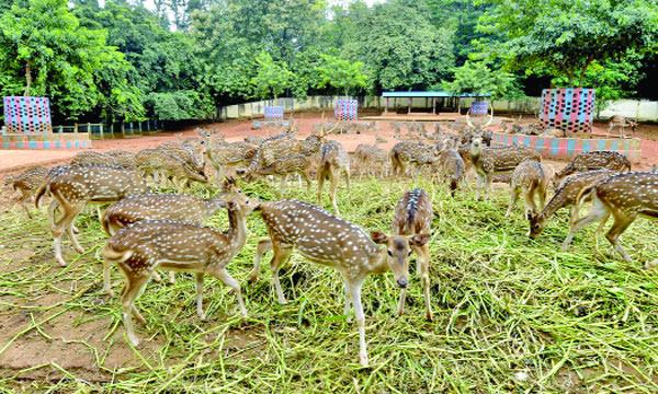 ঘুরে এসো বাংলাদেশ জাতীয় চিড়িয়াখানা
