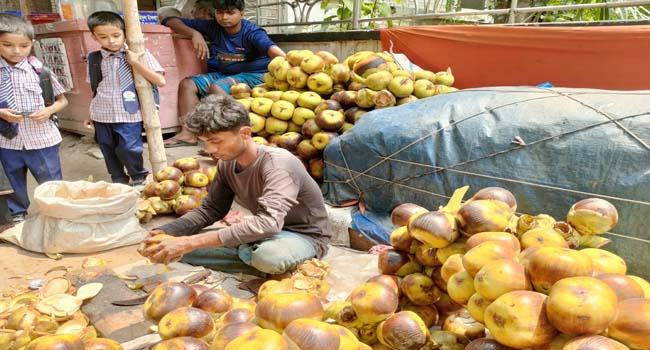 ধুনটে বিভিন্ন হাট-বাজারে তাল শাঁস বিক্রির ধুম পড়েছে
