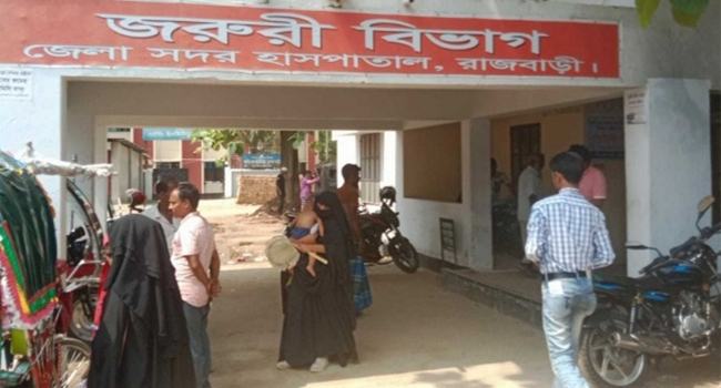 রাজবাড়ীতে বিদ্যুৎস্পৃষ্টে কলেজছাত্রসহ ২ জনের মৃত্যু