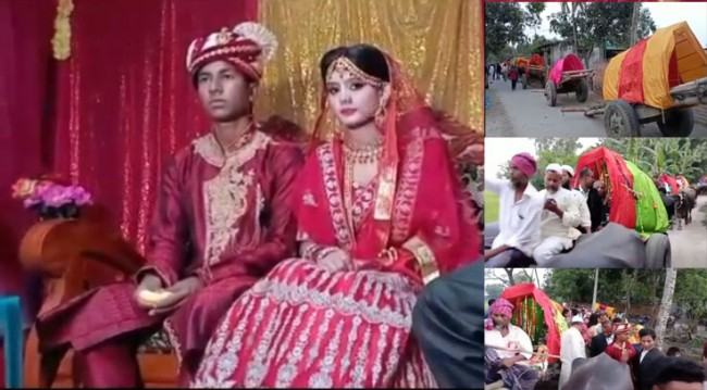 বাবার ইচ্ছা পূরণে গরু-মহিষের গাড়িতে বরযাত্রা