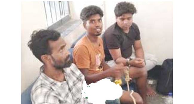 চৌগাছায় ভারতীয় ২ যুবক গ্রেফতার