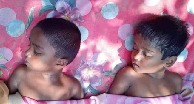 কুমিল্লায় পুকুরে ডুবে ২ ভাইয়ের মৃত্যু