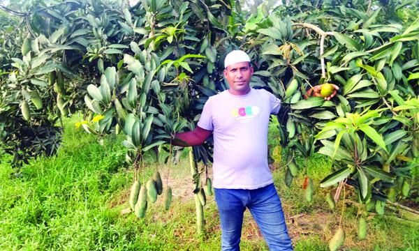 বেকারত্ব ঘুচিয়ে সফল খামারি মিরসরাইয়ের মান্নান
