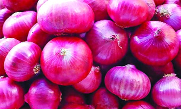 প্রথম দিনেই ৩ লাখ টন পেঁয়াজ আমদানির অনুমতি