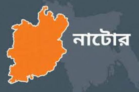বড়াইগ্রামে অতিষ্ঠ হয়ে মাদকাসক্ত দুই ছেলেকে ধরিয়ে দিলেন বাবা