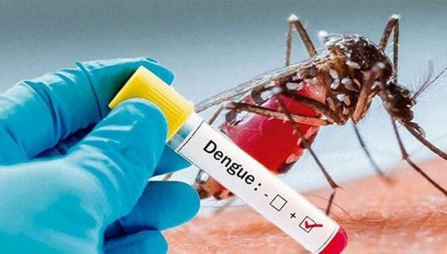 দেশে ডেঙ্গুতে আরো ২ জনের মৃত্যু, আক্রান্ত ১৩৪
