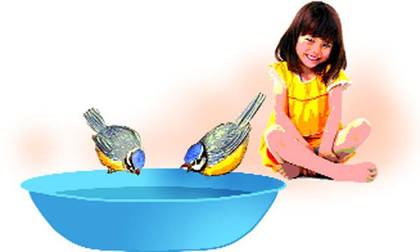 মিম ও পশুপাখি