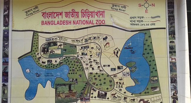 মিরপুর চিড়িয়াখানায় শিশুর কব্জি কামড়ে খেল হায়েনা
