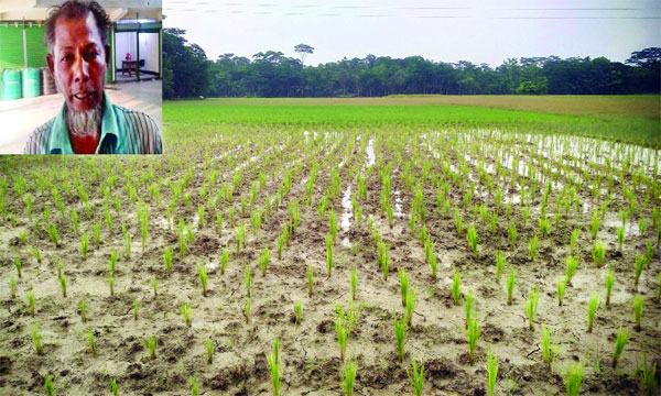 ভাণ্ডারিয়ায় ৪০ বছরের সম্পত্তি দখল