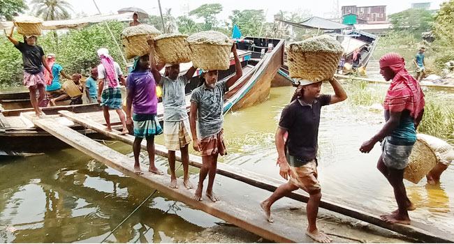মাঠে পাইকারী লবণ বিক্রি হচ্ছে প্রতিমণ ৪০০ টাকা