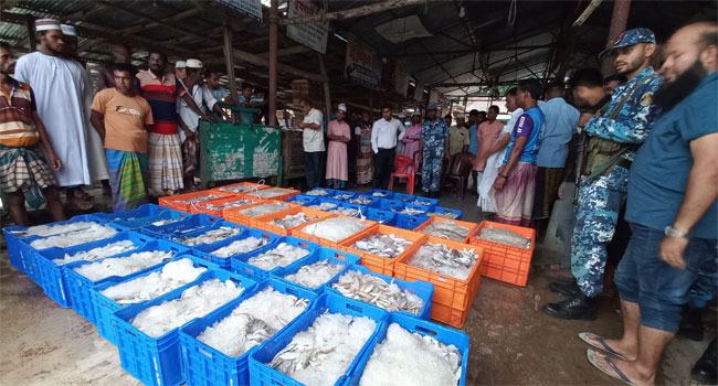 পাথরঘাটায় ট্রলারসহ ২৬ মণ মাছ জব্দ