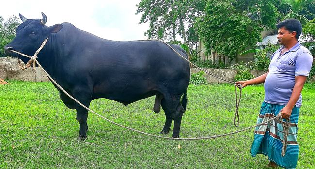 কিশোরগঞ্জে কালো ফকিরের দাম ১৫ লাখ টাকা!