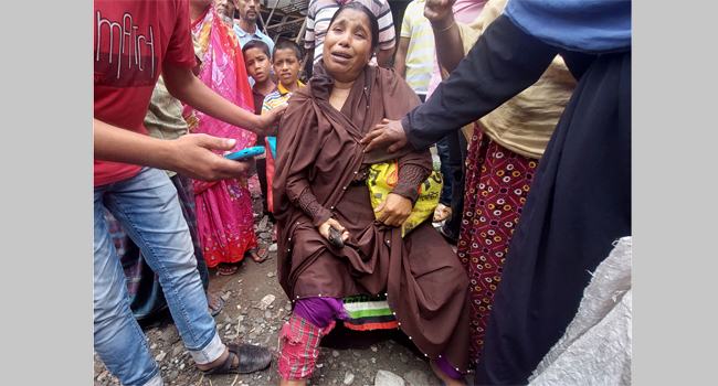 কালীগঞ্জে কুকুরের কামড়ে নারী ও শিশুসহ আহত ৩০