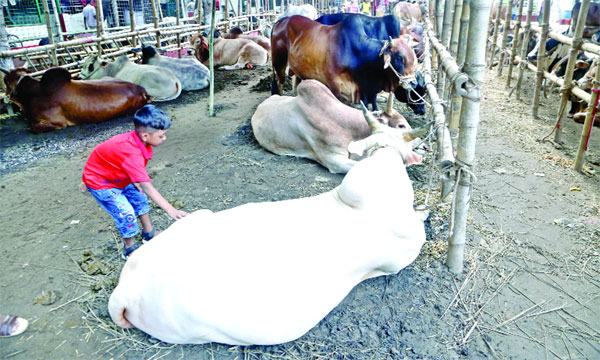 চামড়া শিল্পের বিকাশে বিদ্যমান বাধা দূর করার সুপারিশ
