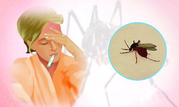 বর্ষায় দূরে থাকুক ব্যাধি