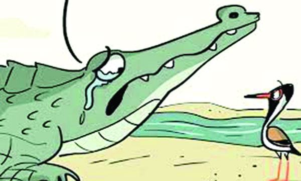 কুমিরের কান্না!