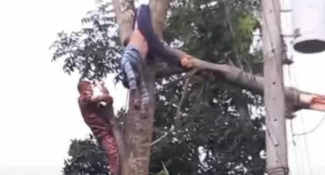 নাগরপুরে বিদ্যুৎস্পৃষ্টে শ্রমিকের মৃত্যু