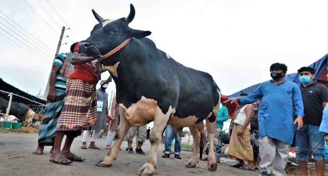 মনের পশুত্ব কোরবানি দিতে হবে