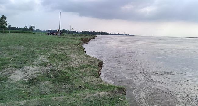 ইসলামপুরে তীব্র নদী ভাঙন আতঙ্কে যমুনা পাড়ে মানুষ