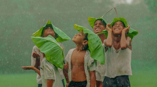 বর্ষা এলেই পেটের সমস্যা, রোগ প্রতিরোধ শক্তি বাড়াতে কী করবেন?