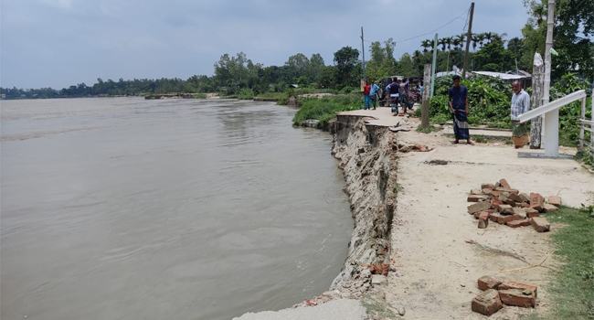 চৌহালীর যমুনায় বিলীন হয়ে যাচ্ছে পাকা সড়ক ও বসতভিটা
