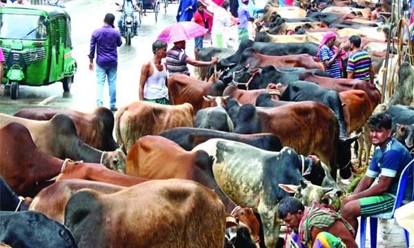 দাম বৃদ্ধিতে মন্দা ঈদবাজার