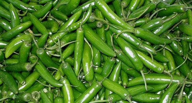 কাঁচামরিচ ৬০০ টাকা!