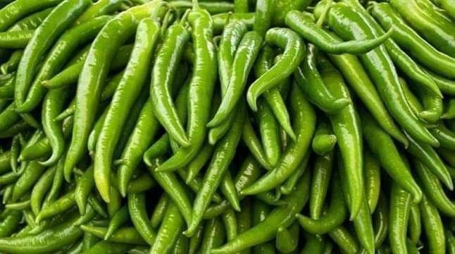 হোসেনপুরে কাঁচা মরিচের কেজি ১০০০ টাকা!