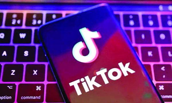 প্রোফাইল ভিজিটকারীদের তালিকা দেখাবে টিকটক