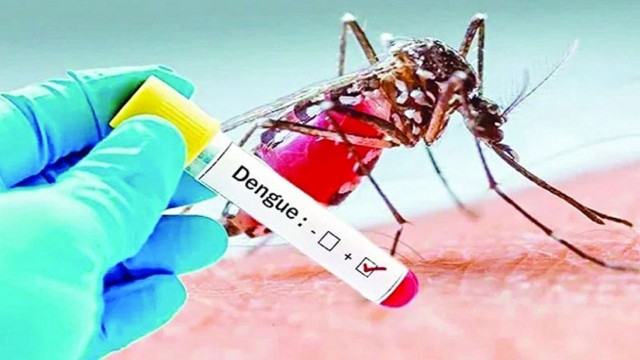ডেঙ্গুতে ৫ জনের মৃত্যু, হাসপাতালে ৬৭৮