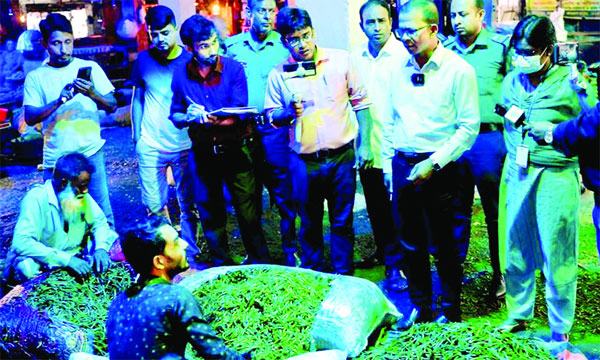 বেনাপোল বন্দর দিয়ে ৩ দিনে এলো ১২৩ টন কাঁচামরিচ