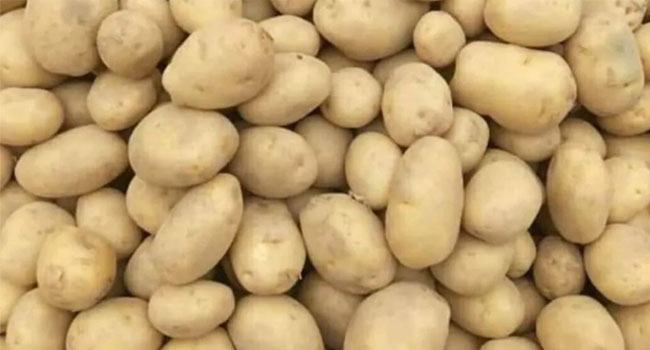 আলুর রেকর্ড উৎপাদনেও দাম ঊর্ধ্বমুখী