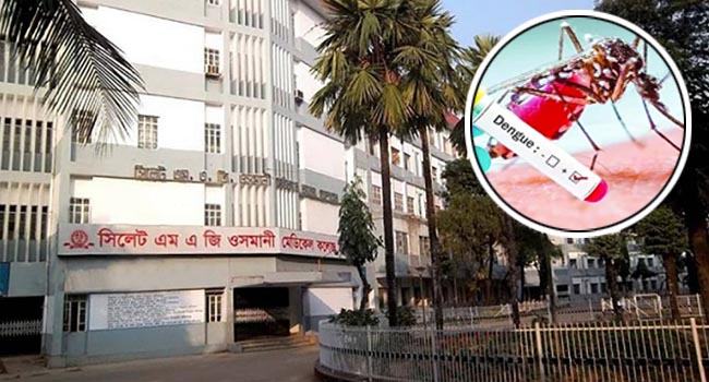 সিলেটে বাড়ছে ডেঙ্গু রোগী, হাসপাতালে ভর্তি ১৯