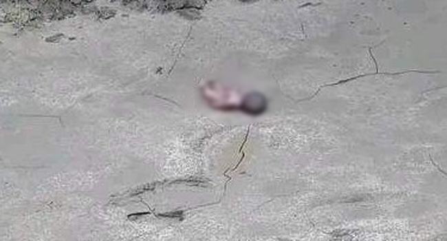 পাইকগাছায় ব্রিজের নিচ থেকে শিশুর লাশ উদ্ধার